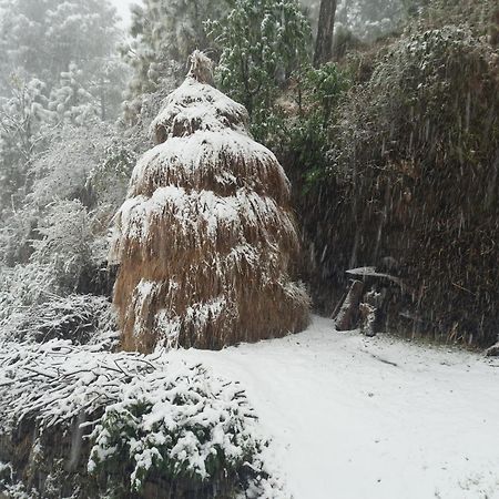 Aagaman Woods Apartment Shimla Bagian luar foto