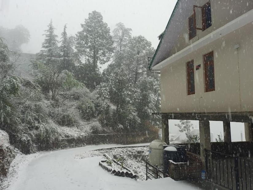 Aagaman Woods Apartment Shimla Bagian luar foto