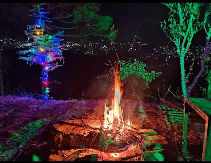 Aagaman Woods Apartment Shimla Bagian luar foto