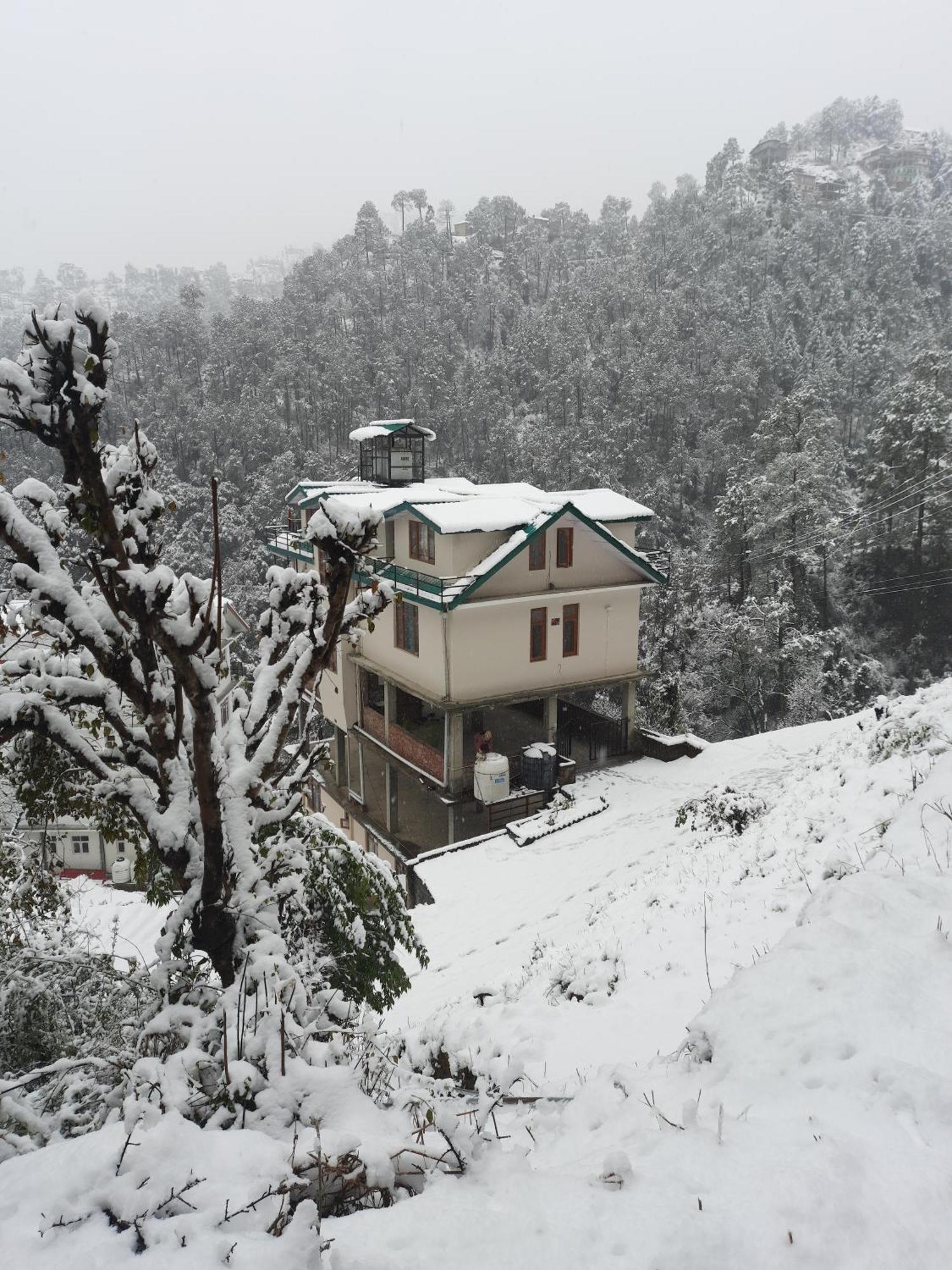 Aagaman Woods Apartment Shimla Bagian luar foto